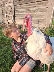 Alpena County 4-H youth put in year-round effort ahead of fair